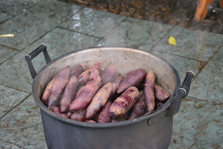 Cooked purple sweet potatoesの写真素材