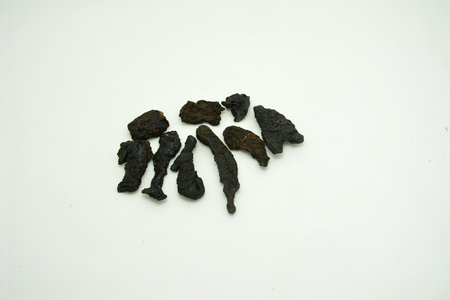 Chinese herbal medicine Polygonum multiflorumの写真素材