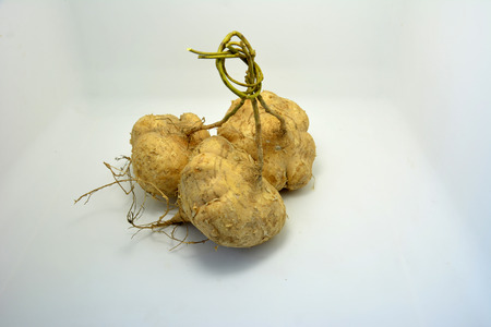 jicamaの写真素材