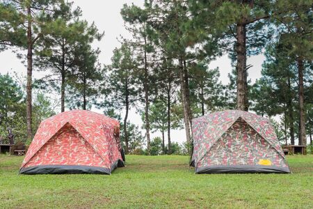 many camping tents on the lawnの写真素材