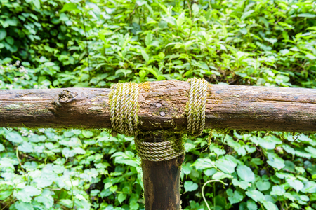 Moss around old wooden block with a rope for passage in the primeval forest, doi inthanon national park in chaing mai, thailandの写真素材