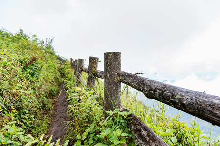 Wooden Fence During a walk way on the valley, doi inthanon national park in chaing mai, thailandの写真素材