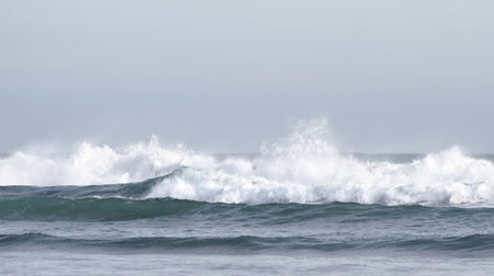 Breaking huge waves at the seashore