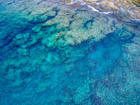 blue coral seaの写真素材