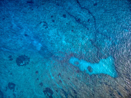blue coral seaの写真素材