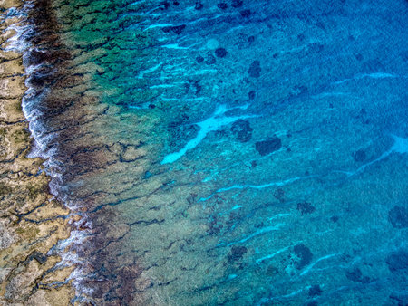 blue coral sea