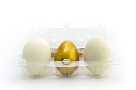 Golden Easter egg and twin duck eggの写真素材