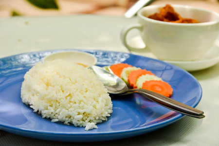 Rice on the blue dish with a cup of curryの写真素材