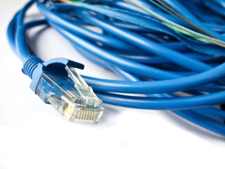 blue network LAN cable on a whiteの写真素材