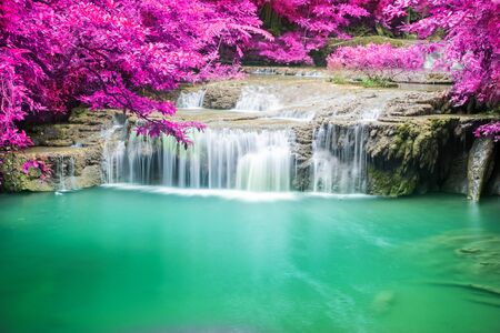 Amazing waterfall in deep forestの写真素材