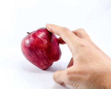 apple and handの写真素材