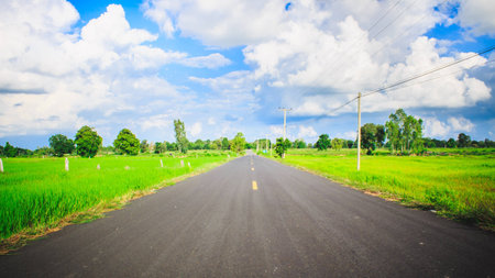 Asphalt road through the green field and clouds on blue sky in summer day.の素材