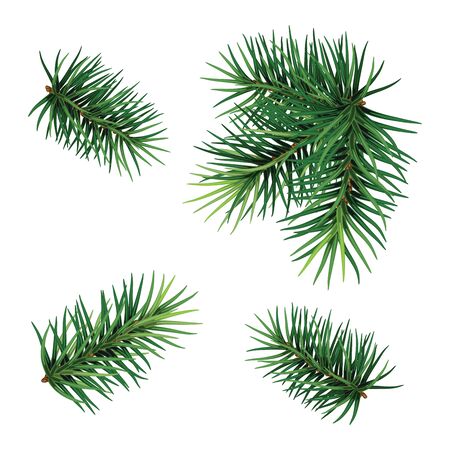 Christmas tree branch set. Hand painted Christmas fir branch  isolated on white background. Botanical illustration. Holiday print for design.
Close-up. New Year. Vector Illustration .Eps 10.のイラスト素材