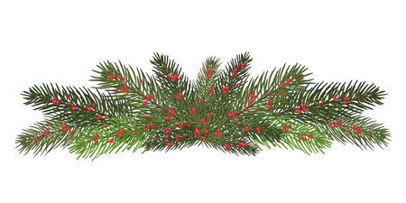 A long garland of fir branches. Christmas decor of natural elements. Drawing. Isolated . New Year.Vector illustration. Eps 10.のイラスト素材