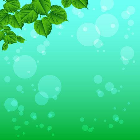 Fresh green foliage. Nature background. Spring / summer background. Close-up. Concept: Save the beauty of nature.のイラスト素材