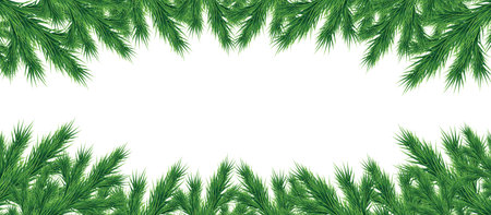 A long garland of Christmas tree branches for a Christmas decor. Branches close-up. Vector. Drawing. Nature details. Panorama. Postcard.のイラスト素材