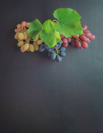 grapes with green leaves. Fresh organic grape on vine branch. Branch with juicy appetizing green grapes .  Agriculture and winemaking concept. supermarket local market bunch of grapes ready to eat.の写真素材