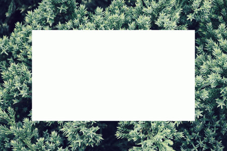 empty card mockup template with green plants, design element for wedding rsvp, thank you card, greeting or invitation card. Top view close-up on the green leaves. Plants background with copy space.の写真素材