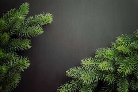 christmas bells and tree. fir tree, background for christmas design.Christmas background with branches of a Christmas tree with bells. Background for a Christmas greeting, postcard, banner.の写真素材