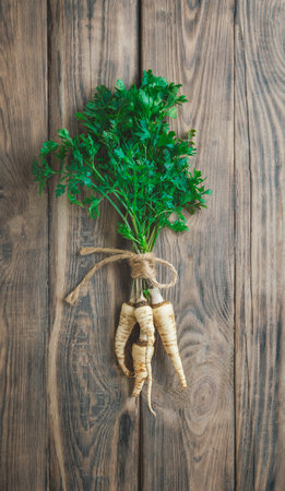 Parsley on wooden table background. Fresh raw parsley plant top view. Parsley indispensable source of vitamins. Fresh green plant, nutritious, tasty green parsley. Parsley with roots on a wooden tableの写真素材