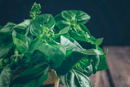 Bunch of basil. Seasoning. Spice for different dishes. Concept of spices for healthy cooking. Fresh basil, garlic, root,parsley,dill,celery on a wooden table.Herbs and spices for recipes.copy spaceの写真素材