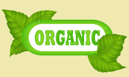 Green Eco Vegetarian Organic Food Banner. Badge for Ecology Healthcare. Lifestyle Advertising Poster.Organic product icon background. Eco nature health organic fresh green tag banner.の写真素材