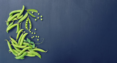 Ripe pods of green peas on black background. Close up. Copy space. Fresh green peas. Concept of healthy eating, fresh vegetables.Fresh green peas pods and green peas with sprouts on wooden background.の写真素材