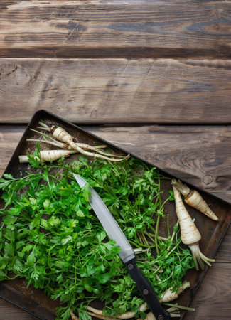 Bunch of parsley leaves. Parsley with leaves and roots on an old tray. parsley roots on the table. Copy space. Flat lay. Black background. Autumn, summer.の写真素材