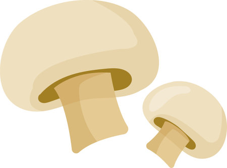 Champions. Wild forest mushrooms in autumn. Perfect for magazine, book, poster, map, cover menu, web pages. Ingredients for pizza and vegetable salads. On transparent, png .cartoon style,の写真素材