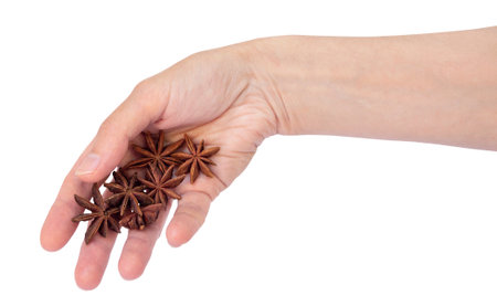 Cinnamon sticks and anise stars in woman's hand on clear background, great for food branding or gift card layouts. PNGの写真素材