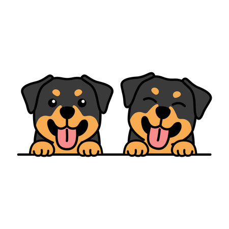 Cute rottweiler puppy cartoon, vector illustrationのイラスト素材