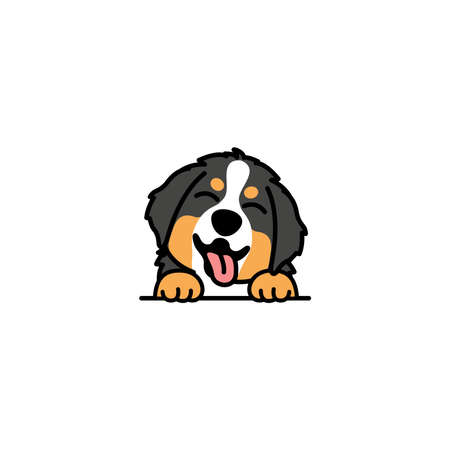 Cute bernese mountain puppy smiling cartoon, vector illustrationのイラスト素材