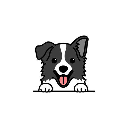 Cute border collie dog cartoon, vector illustrationのイラスト素材