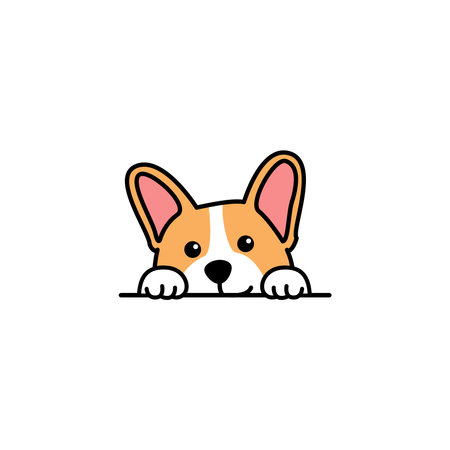 Cute Pembroke Welsh Corgi dog peeking cartoon, vector illustrationのイラスト素材