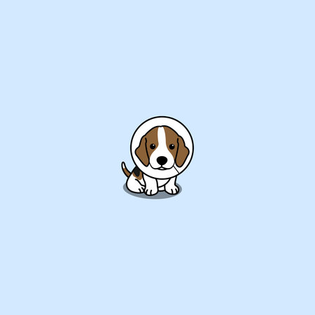 Cute beagle puppy with elizabethan collar cartoon, vector illustrationのイラスト素材