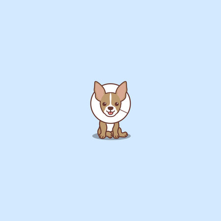 Cute chihuahua dog with elizabethan collar cartoon, vector illustrationのイラスト素材