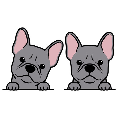 Cute french bulldog puppy blue color cartoon, vector illustrationのイラスト素材