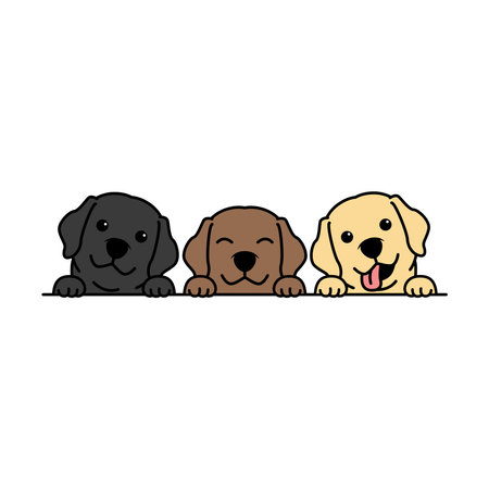 Cute labrador retriever puppy three different colors cartoon, vector illustrationのイラスト素材