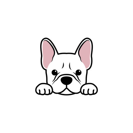 Cute white french bulldog cartoon isolated on a white background, vector illustrationのイラスト素材