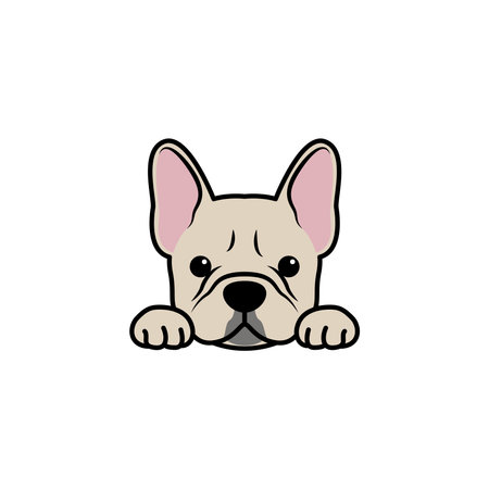 Cute french bulldog puppy cream color cartoon isolated on a white background, vector illustrationのイラスト素材