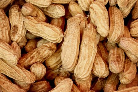 Boiled peanutの写真素材