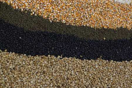 Various seeds and grains