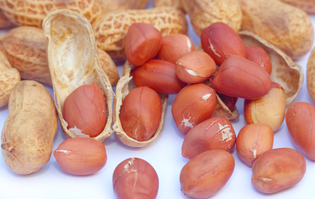 peanuts isolated on white backgroundの写真素材