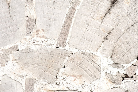 nature wood texture and design for backgroundの写真素材