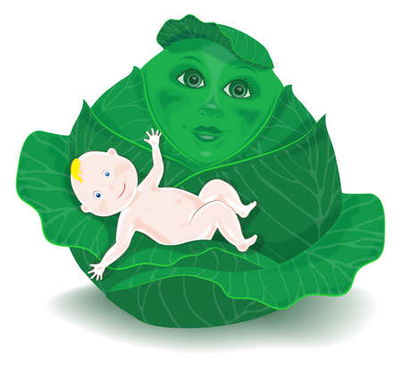 cartoon baby in the cabbageのイラスト素材