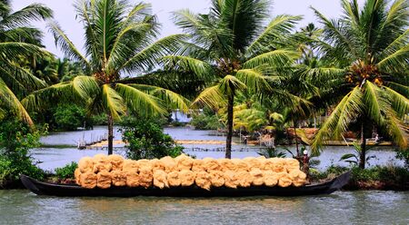 Indian man transports goods along the river.の写真素材