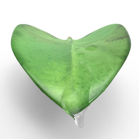 This is a 3d illustration of a leaf   This is about nature の写真素材