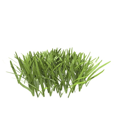 This is a 3d illustration of grass の写真素材