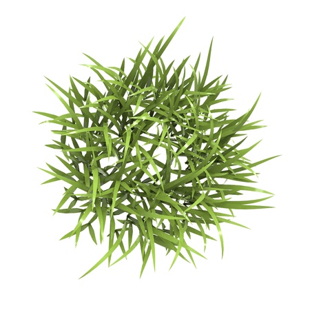 This is a 3d illustration of grass の写真素材