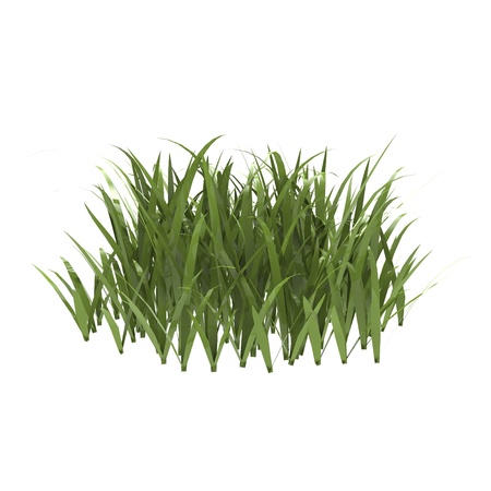 This is a 3d illustration of grass の写真素材